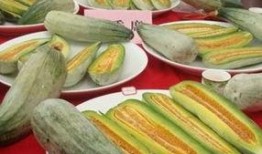 旅游全程吃酥瓜,全程尽享酥瓜美味之旅