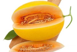 吃蜜瓜逛景区,畅游景区尽享甜蜜时光