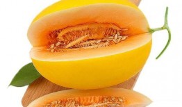 吃蜜瓜逛景区,畅游景区尽享甜蜜时光