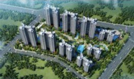 石家庄吃瓜群众保利,揭秘石家庄美食圈的热门话题