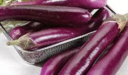 吃瓜茄子,揭秘茄子界的“网红”美食传奇