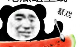 吃瓜学神,网络红人的崛起与影响力