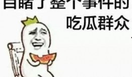 吃瓜群众金川,吃瓜群众的视角解读娱乐圈风云