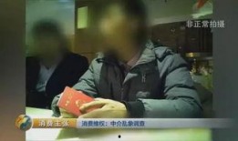 卖房吃瓜的视频,一场别开生面的房产直播秀