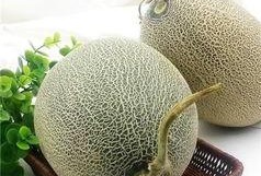 哈密瓜直接吃要怎么吃,轻松享受夏日清新美味