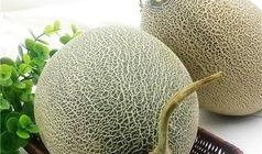 哈密瓜直接吃要怎么吃,轻松享受夏日清新美味