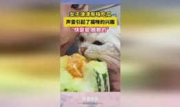 猫咪吃瓜配音,猫咪配音趣味横生
