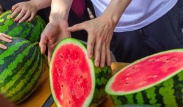 张衡学校吃瓜比赛,一场别开生面的吃瓜大赛盛况