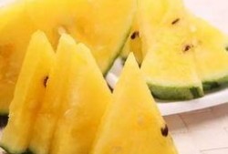 带你吃瓜剪辑,揭秘幕后故事与精彩瞬间