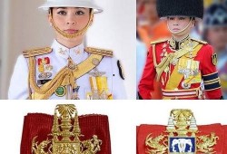 吃瓜 妮娜皇后,妮娜皇后，宫廷秘闻背后的传奇人生