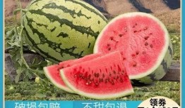 以前的我们吃瓜