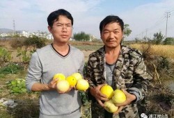 吃瓜群众金川,吃瓜群众的视角解读娱乐圈风云