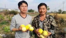 吃瓜群众金川,吃瓜群众的视角解读娱乐圈风云