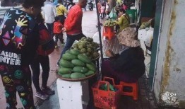 南宁小三吃瓜,一场城市热议的八卦盛宴