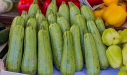 葫芦瓜能否凉拌吃,清爽开胃的夏日美食新选择