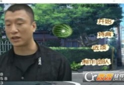 只吃瓜不玩梗,揭秘只吃瓜不玩梗的神秘生活