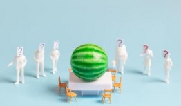 吃瓜合集的不定时,揭秘娱乐圈幕后故事，带你领略明星们的真实生活