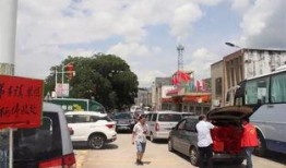 河源卫校吃瓜,揭秘校园生活背后的趣味与争议