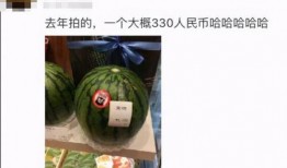 带你吃大瓜作品,带你领略“带你吃大瓜”背后的精彩故事