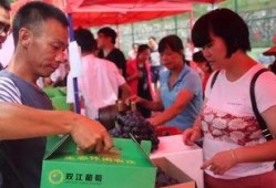 河源卫校吃瓜,揭秘校园生活背后的趣味与争议