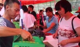 河源卫校吃瓜,揭秘校园生活背后的趣味与争议