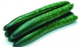 可以吃大瓜吗,揭秘“吃大瓜”背后的娱乐真相与网络文化现象