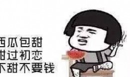 一个小小的吃瓜群众是谁,网络红人的崛起之路