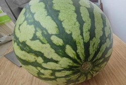 男人吃的瓜,揭秘男性瓜食文化