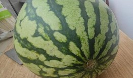 男人吃的瓜,揭秘男性瓜食文化