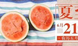 盐城吃瓜公众号,揭秘本地美食背后的故事与传奇