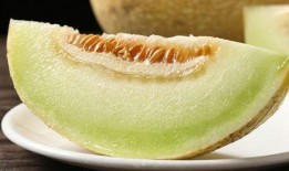 吃蜜瓜逛景区,畅游景区尽享甜蜜时光